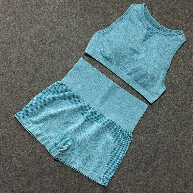 2pcs yoga sets woman sportswear stretch gym shorts-3